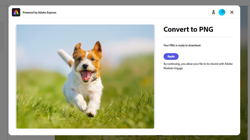 Convert to PNG/JPEG window