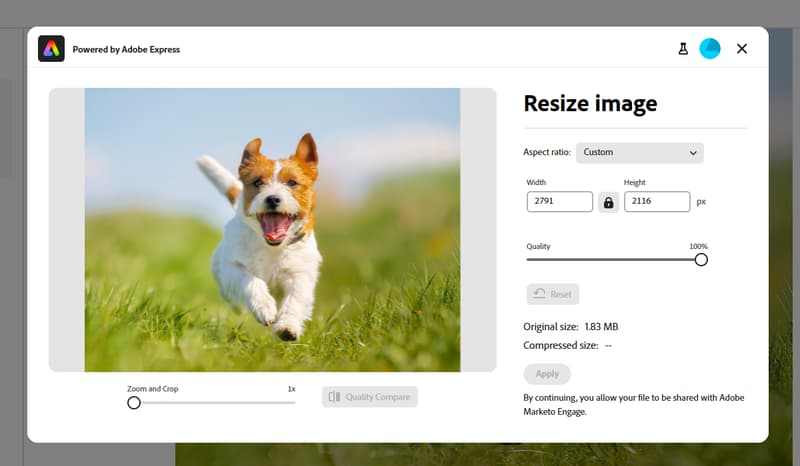 Resize image window shhowing all available options
