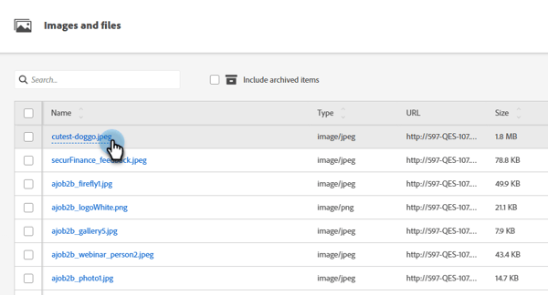 Clicking on the name of the image