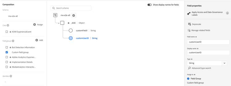 Custom field definition in XDM schema