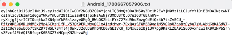 Software Statement Sample
