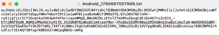 Software Statement Sample