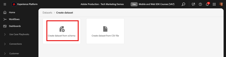 Create dataset from schema