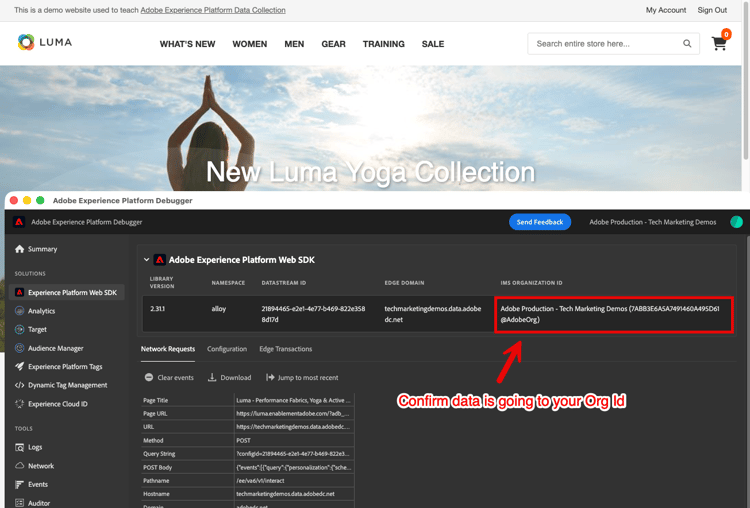 Your Org Id shown in Debugger