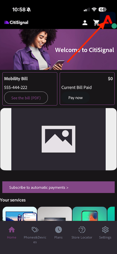 Adobe Experience Platform Data Collection
