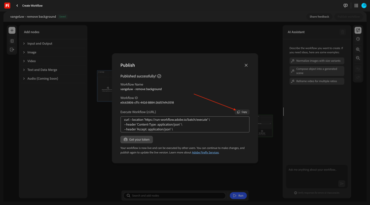 Firefly Custom Workflows