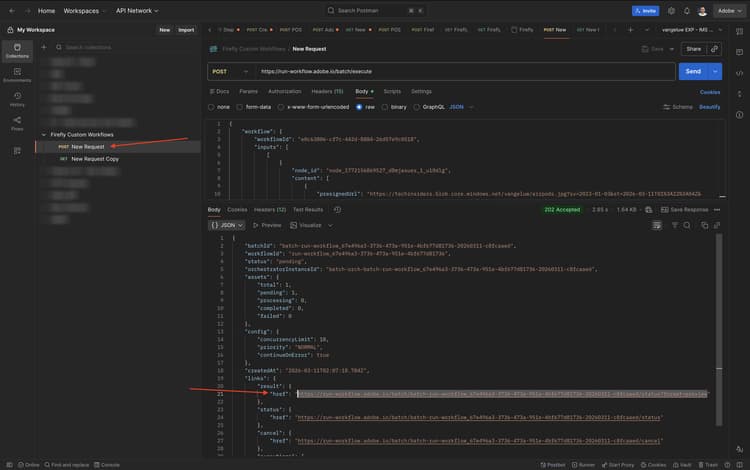 Firefly Custom Workflows