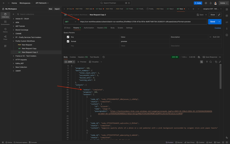 Firefly Custom Workflows