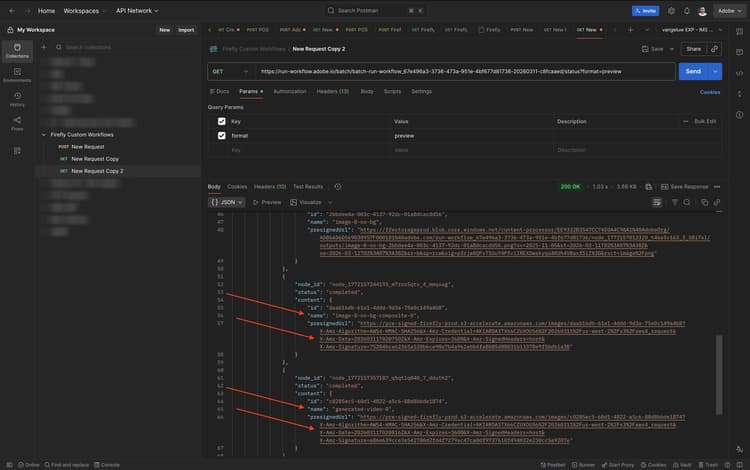 Firefly Custom Workflows