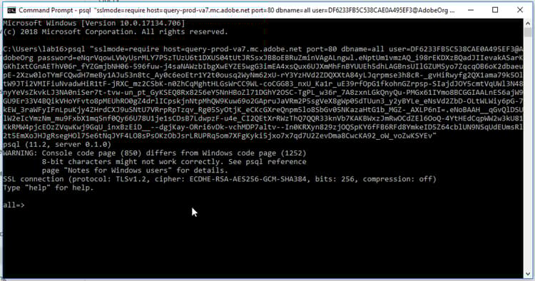 command-prompt-connected.png