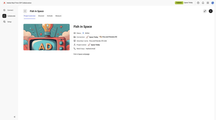 The project overview workspace.