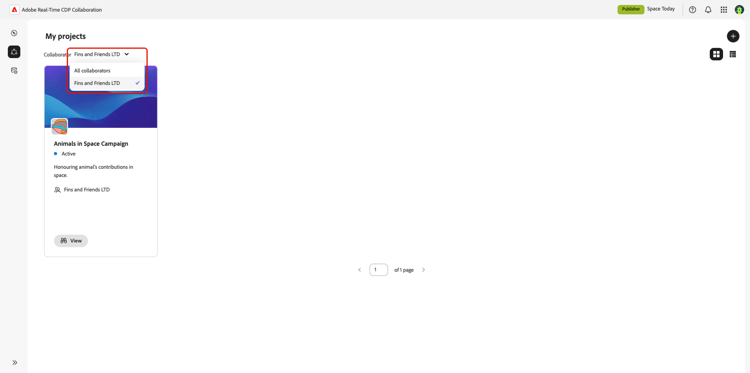 Filtered view of projects with a single collaborator.