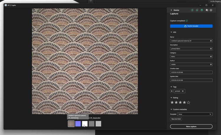 Summary step in digitization process with Sampler and Captis