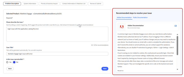 Problem description step