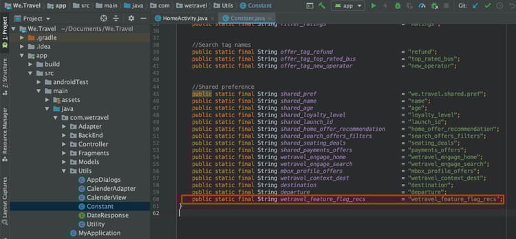 Add feature flag constant