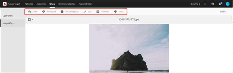 Hover icons on the Image Offers tab when in List View