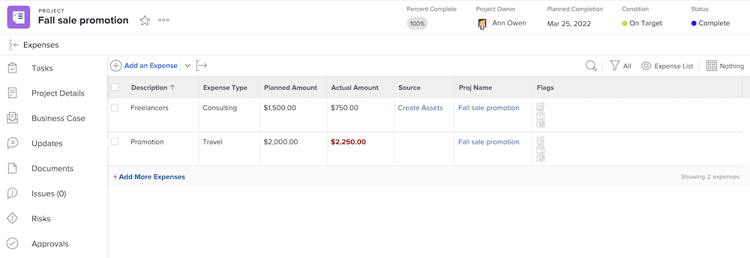 Expenses section of a project