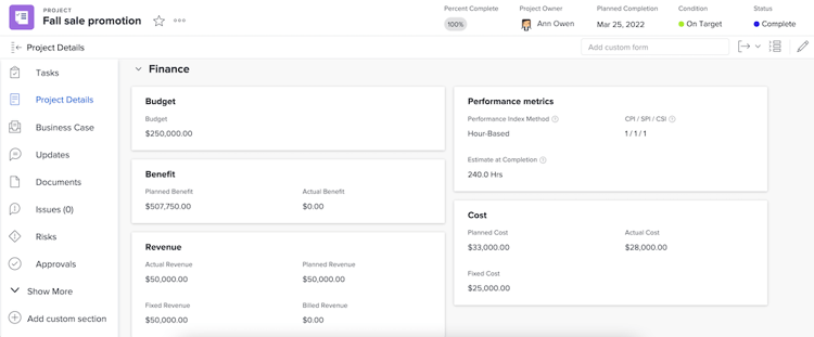 Finances section of Project Details window on a project