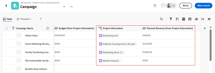 Project linked field and Planned Revenue in campaign table highlighted
