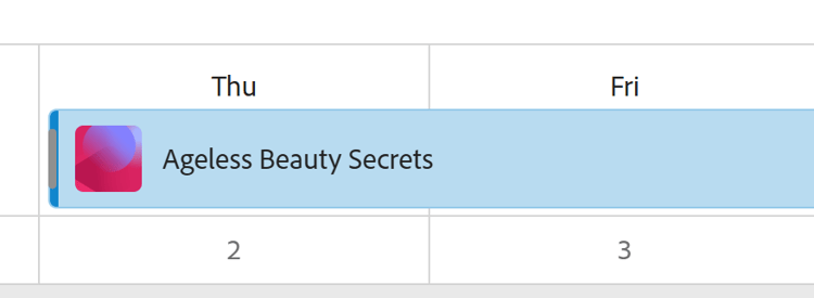 Calendar view record color bar