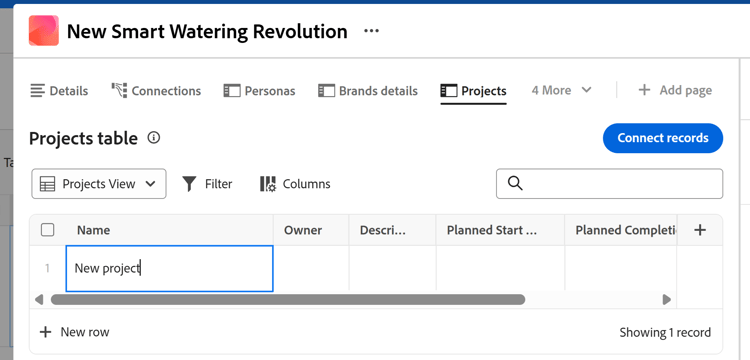 Projects table view in connected records page