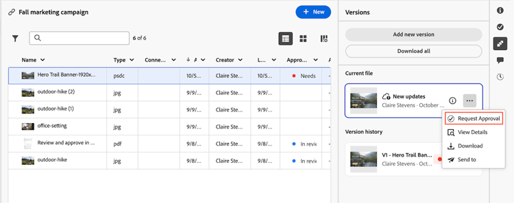 request approval on current file