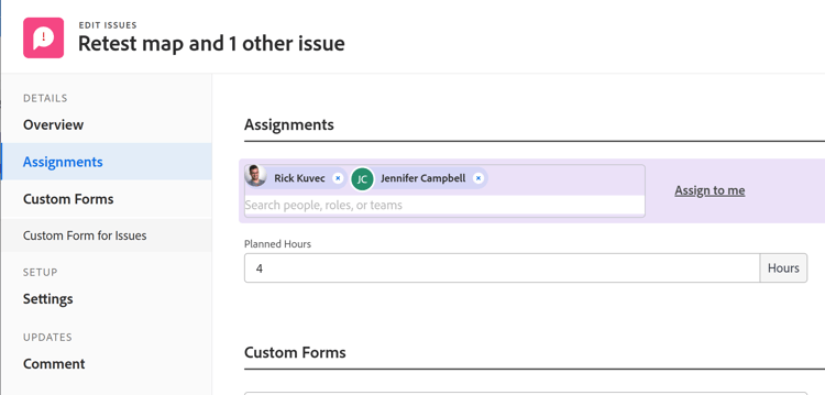 Assignments area in bulk-edit issues