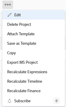 Project level more dropdown