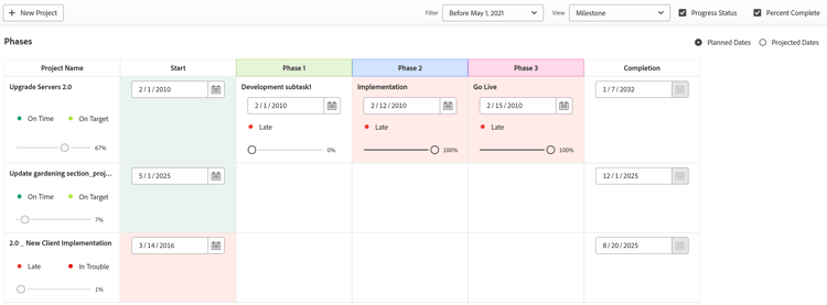 Project with milestone view