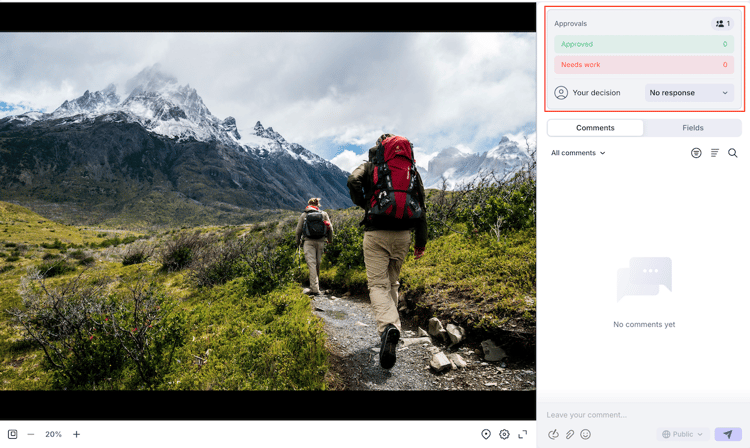 Frame viewer and decision