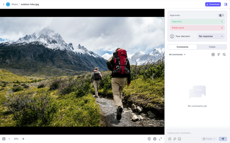Frame viewer and decision