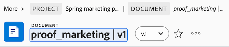 Document name