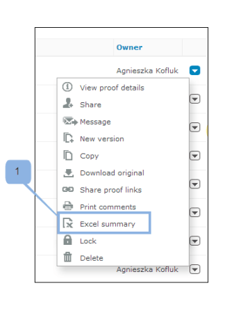 Excel_summary.png