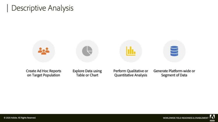 Generating a descriptive analysis report