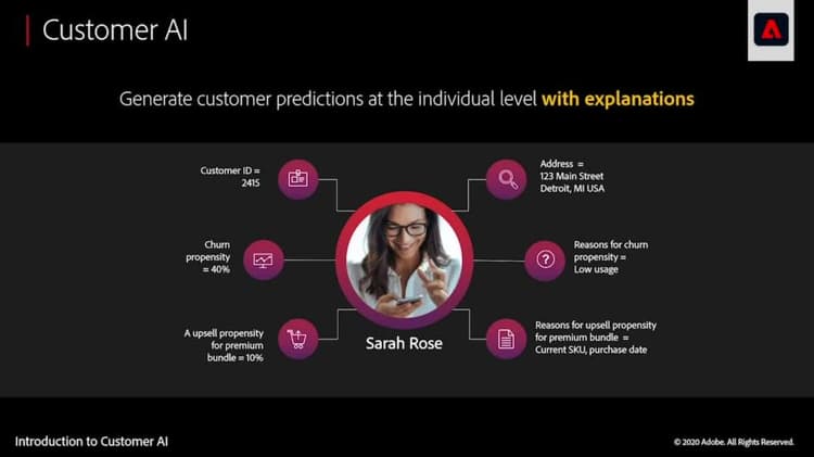 Introduction to Customer AI