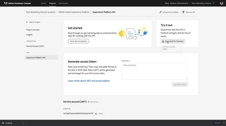 Authenticate and access Experience Platform APIs