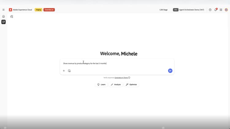 Screenshot of First Prompt