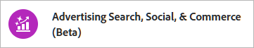 Advertising Search, Social y Commerce)