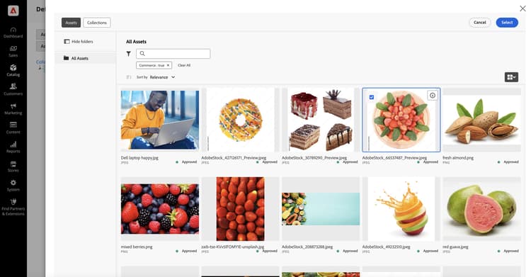 Contenido de categoría