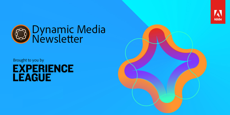 Logotipo de la newsletter de Dynamic Media