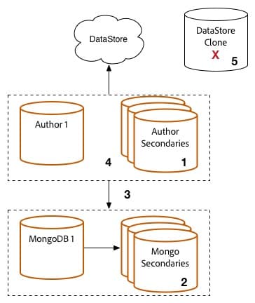 mongo-secondary
