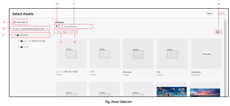 using-asset-selector