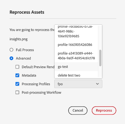 Opciones avanzadas de reprocesamiento de Assets2