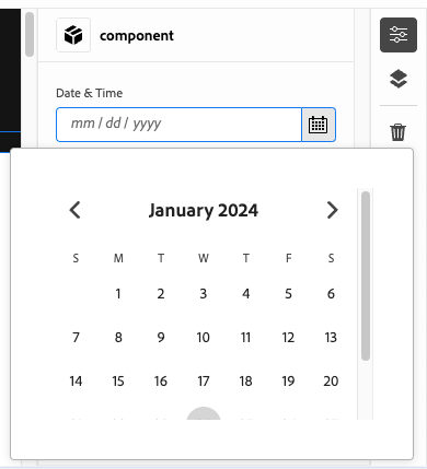 Captura de pantalla del tipo de componente de fecha y hora