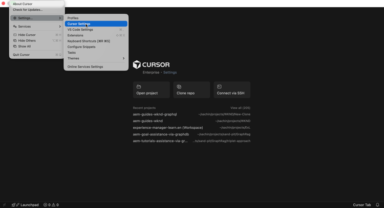 Configuración del cursor