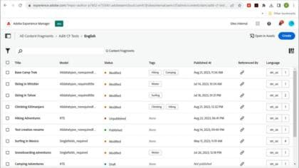 Información general del editor