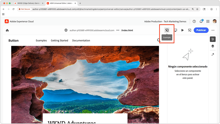 Previsualización de una extensión de editor universal