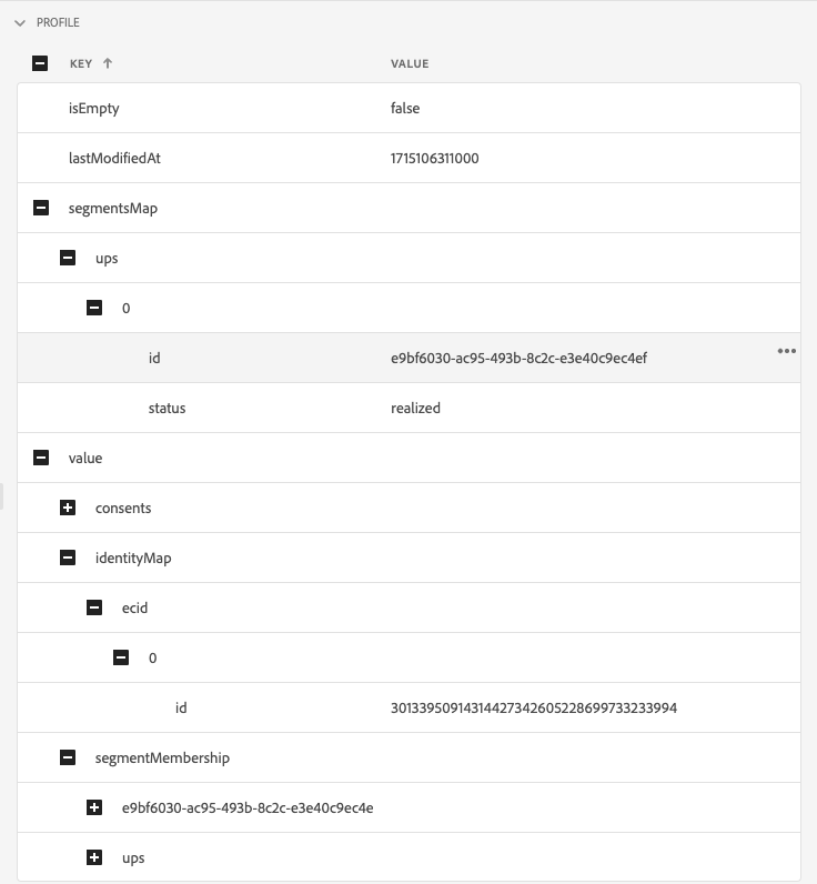 La sección de perfiles incluye el mapa de identidad, la pertenencia a segmentos y la configuración de consentimiento