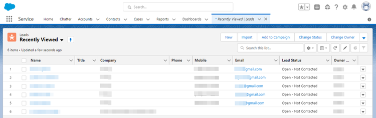 Captura de pantalla de Salesforce CRM que muestra la página de posibles clientes con los perfiles del segmento.