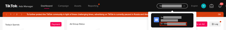 ID de TikTok Ads Manager
